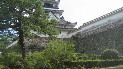 K IMG 0984